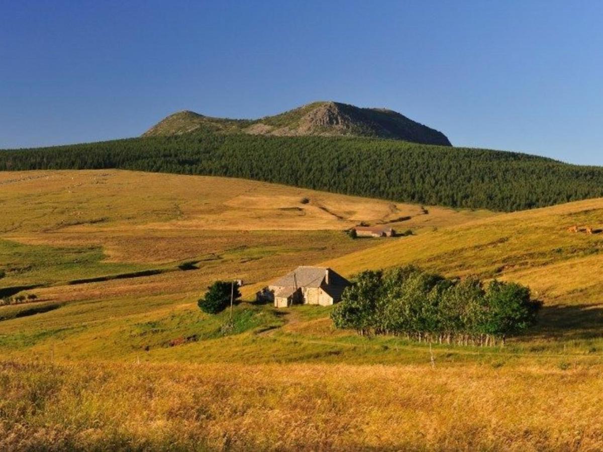 Gite Familial En Pleine Nature Avec Cour Privee, Wi-Fi Et Proche Randonnees A Le Mas-De-Tence - Fr-1-582-132 Екстериор снимка